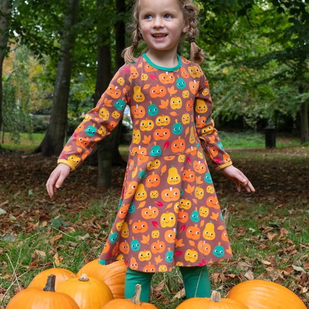 Organic Pumpkin Print Long-Sleeved Skater Dress Toby Tiger