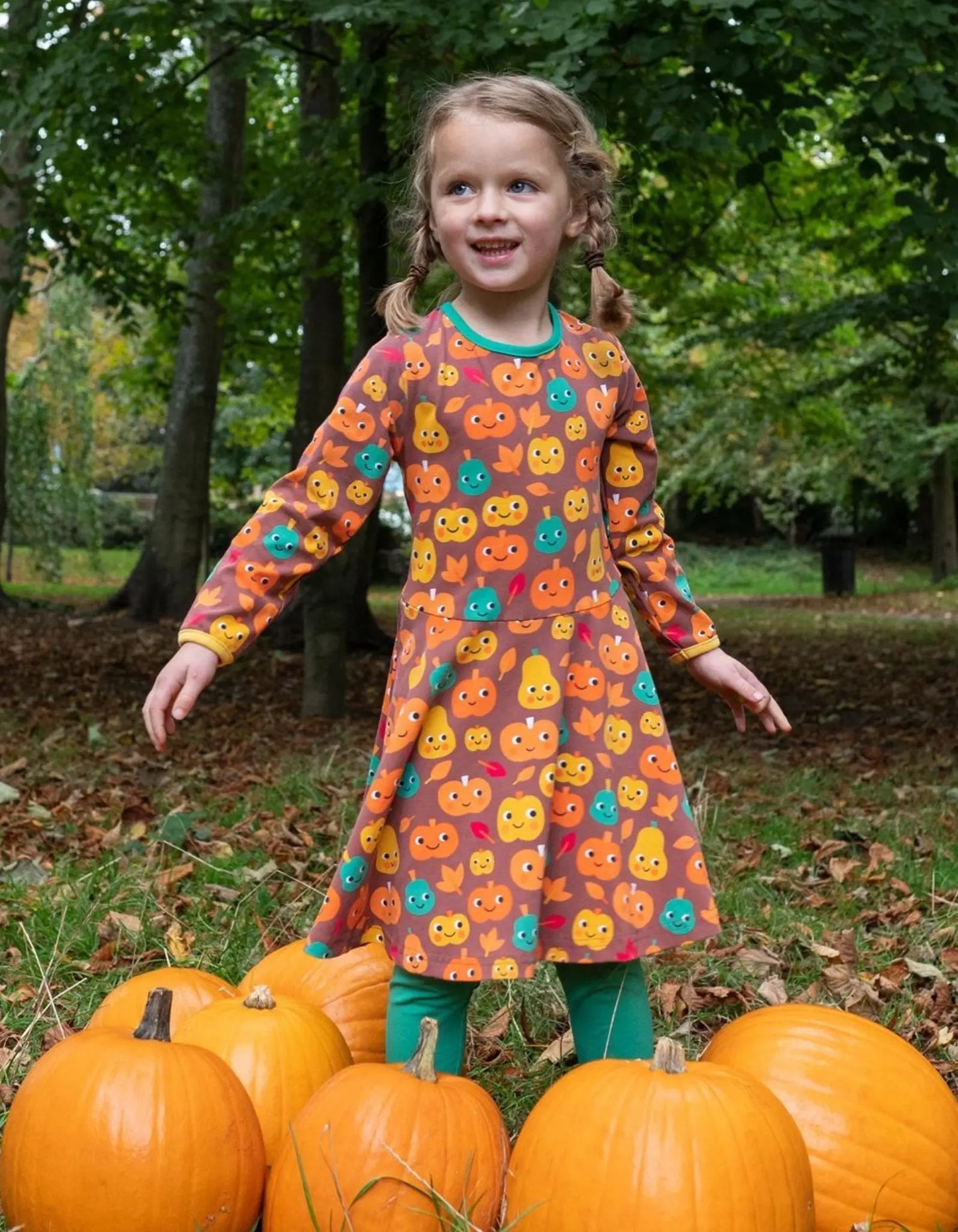 Organic Pumpkin Print Long-Sleeved Skater Dress Toby Tiger
