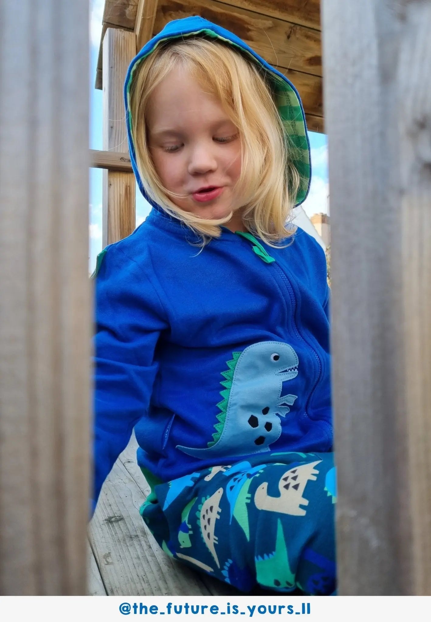 Organic Tonal Dinosaur Applique Hoodie Toby Tiger