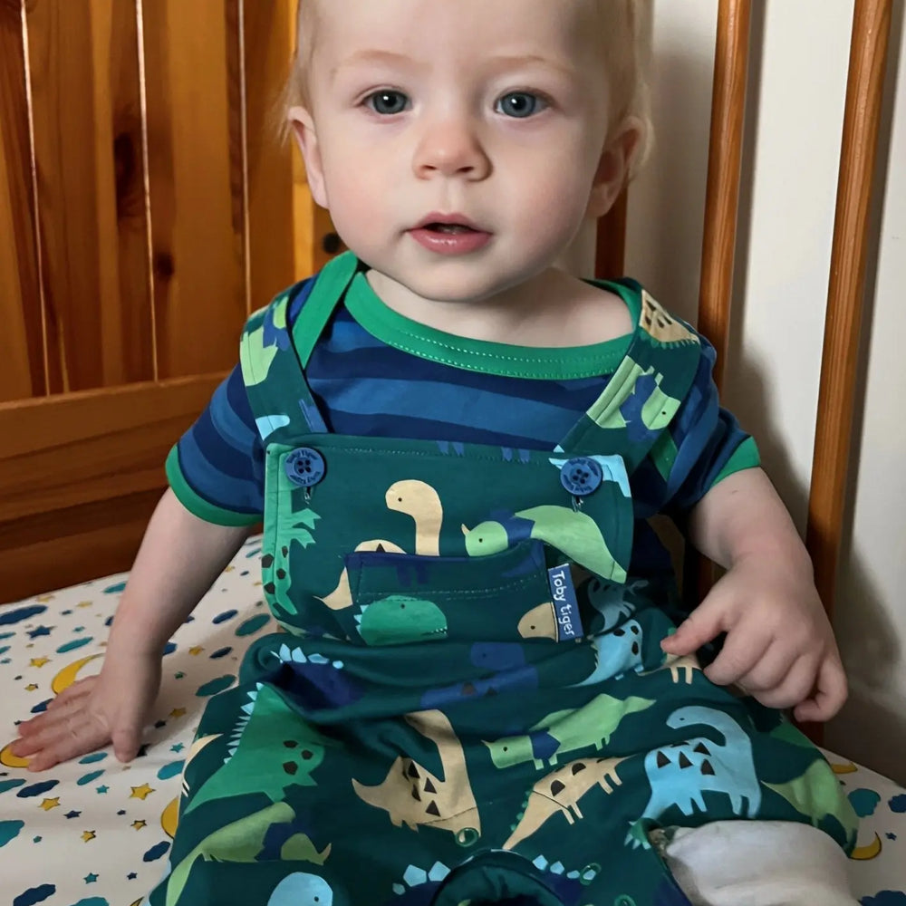 Organic Tonal Dinosaur Print Dungarees Toby Tiger
