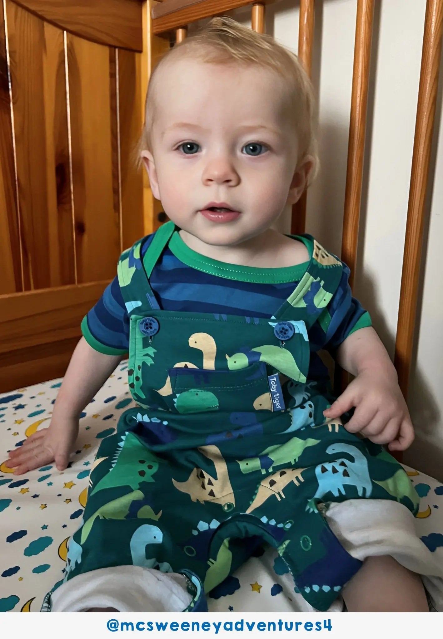 Organic Tonal Dinosaur Print Dungarees Toby Tiger