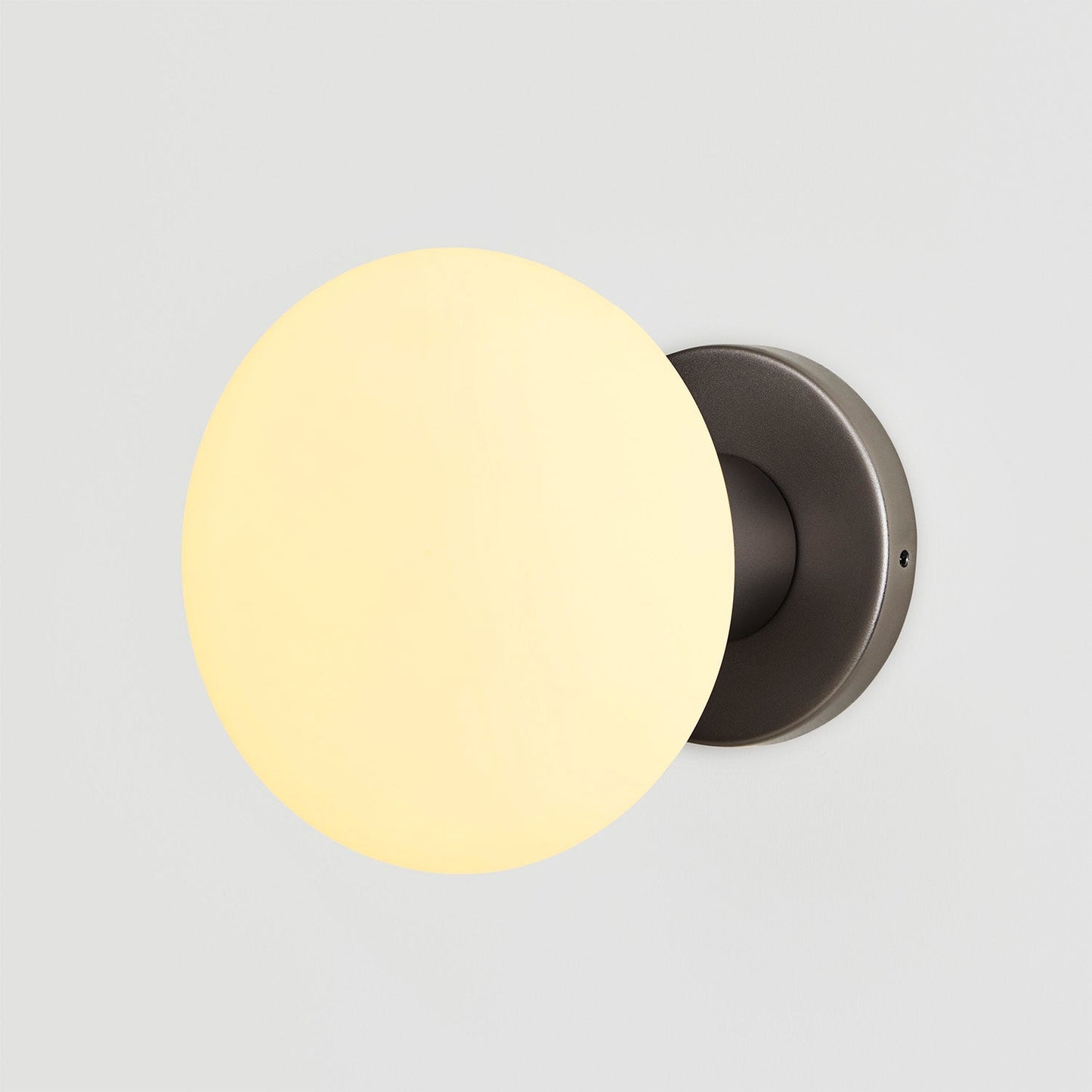 Lochan Wall Light in Graphite + Oval Dim to Warm Tala