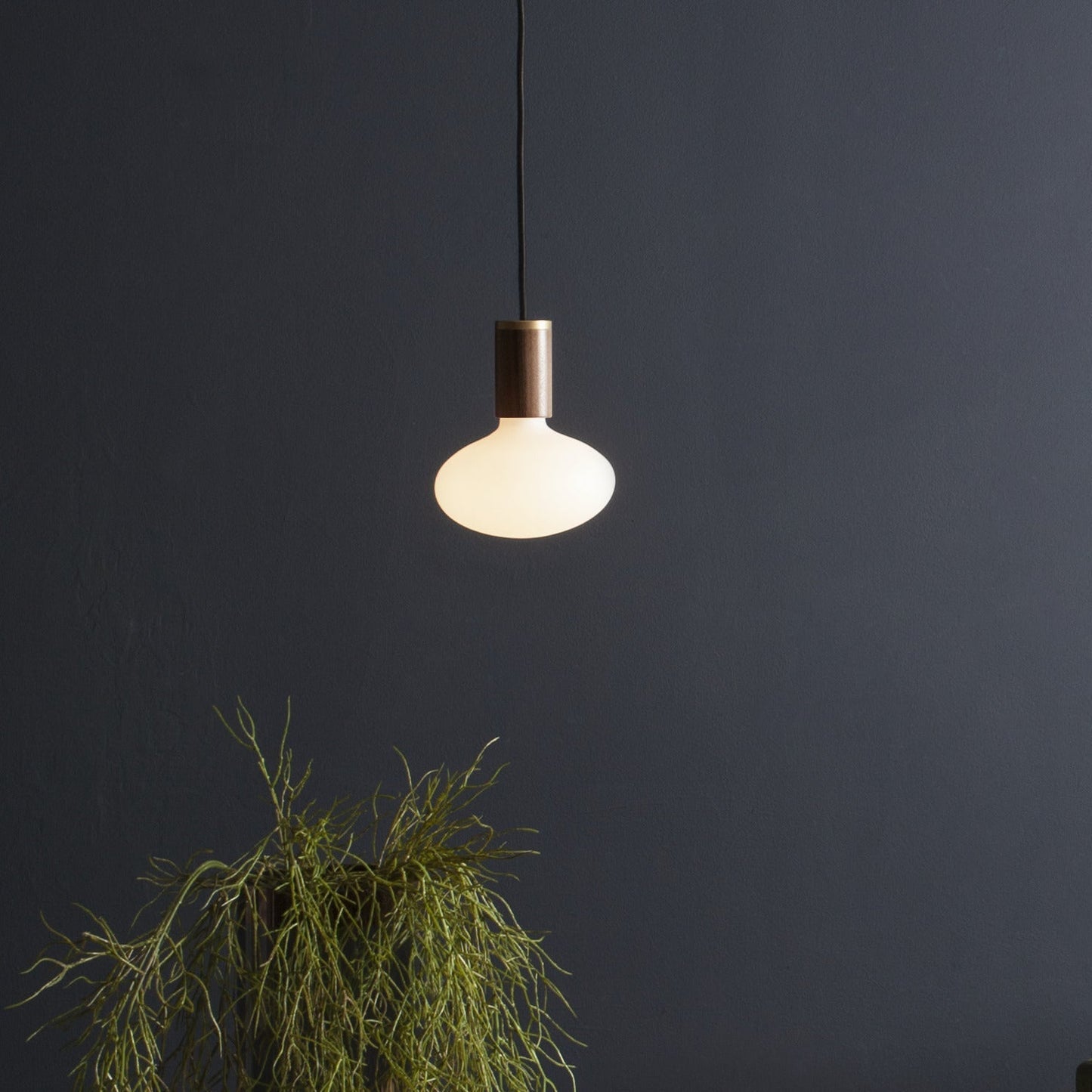 Oval II Pendant Light in Walnut Tala
