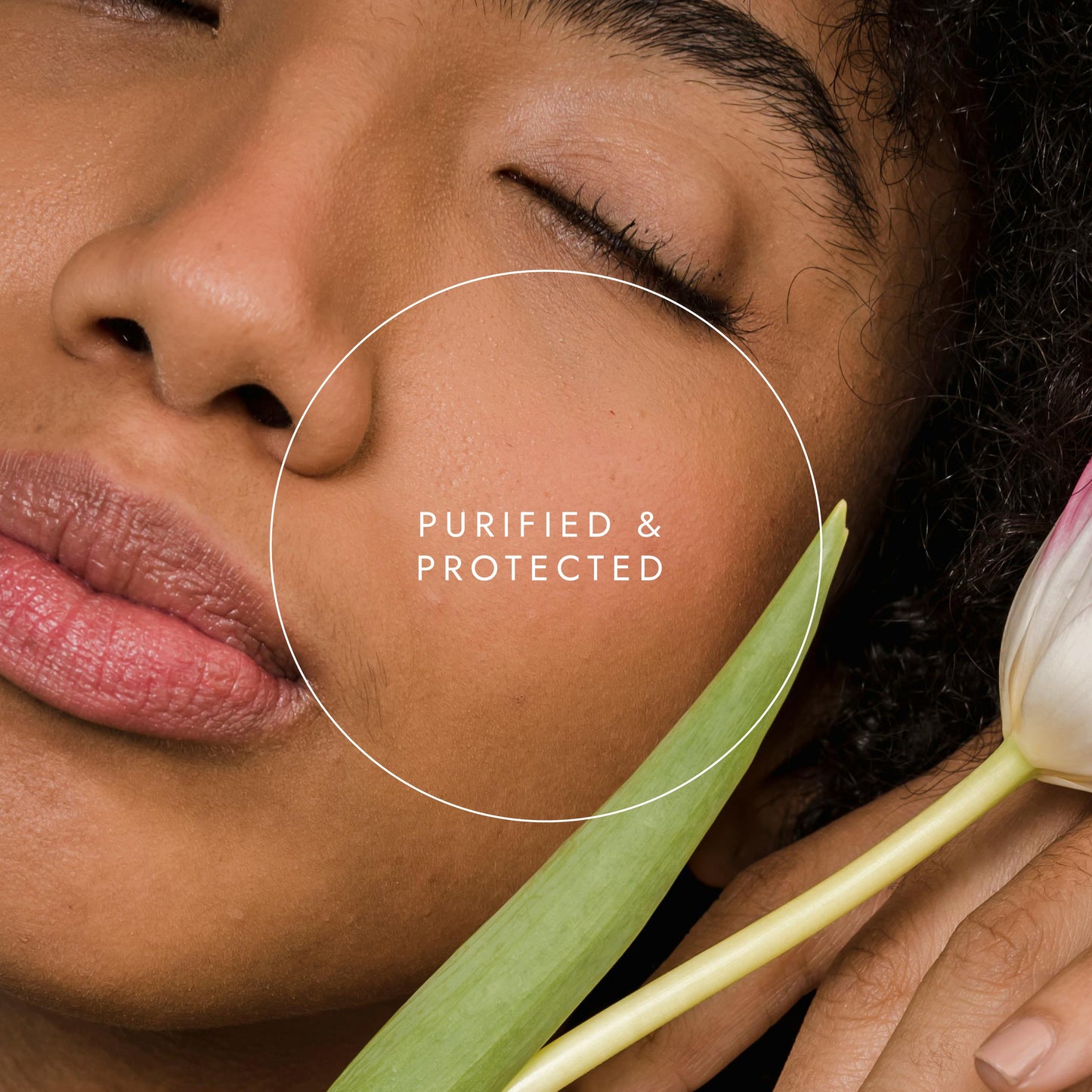 Organic Neem Leaf Fushi Wellbeing