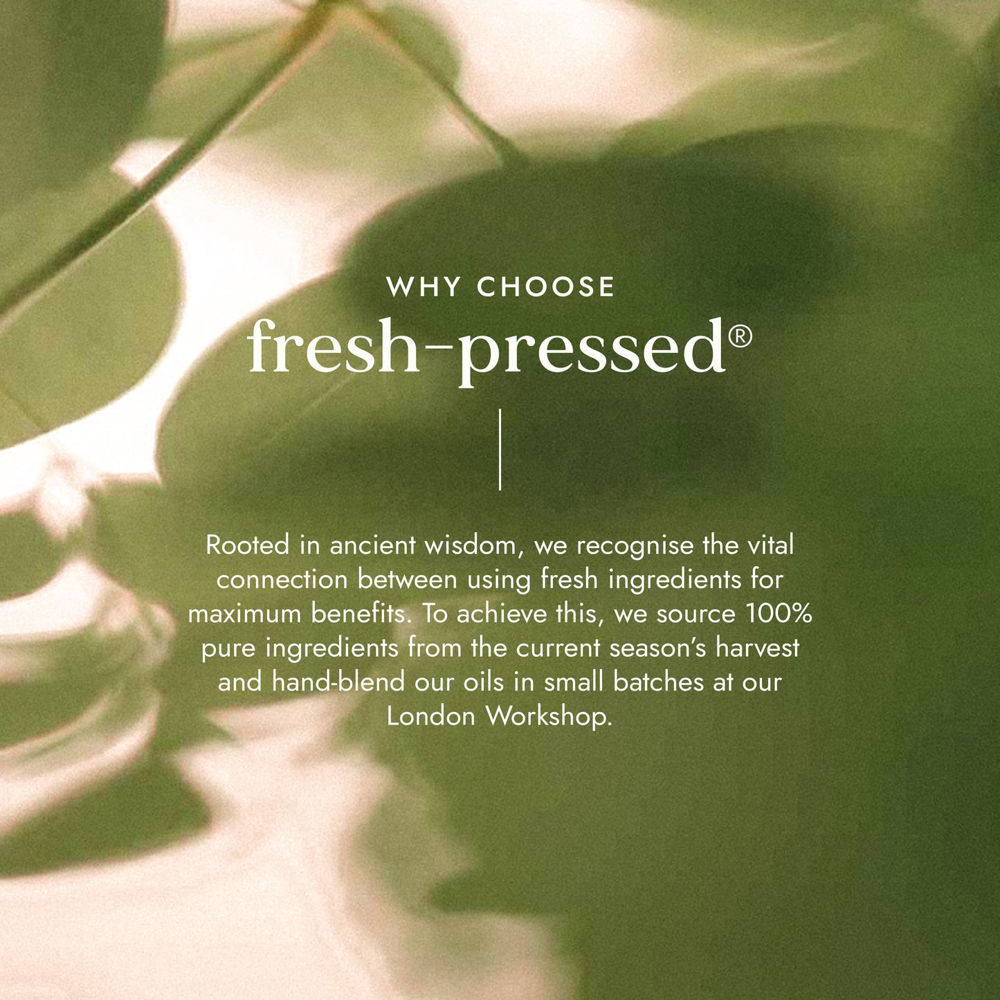 Marula Oil 50ml Fushi Wellbeing