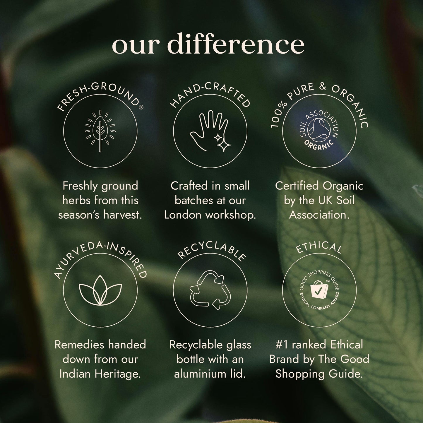 Organic Boswellia Fushi Wellbeing