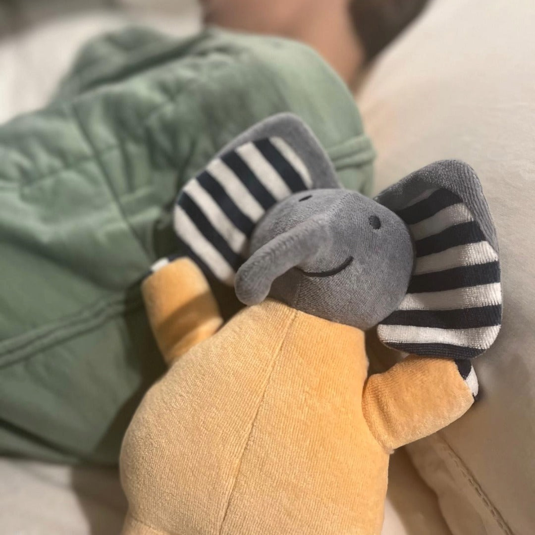 Elephant Teddy Pure Earth Collection