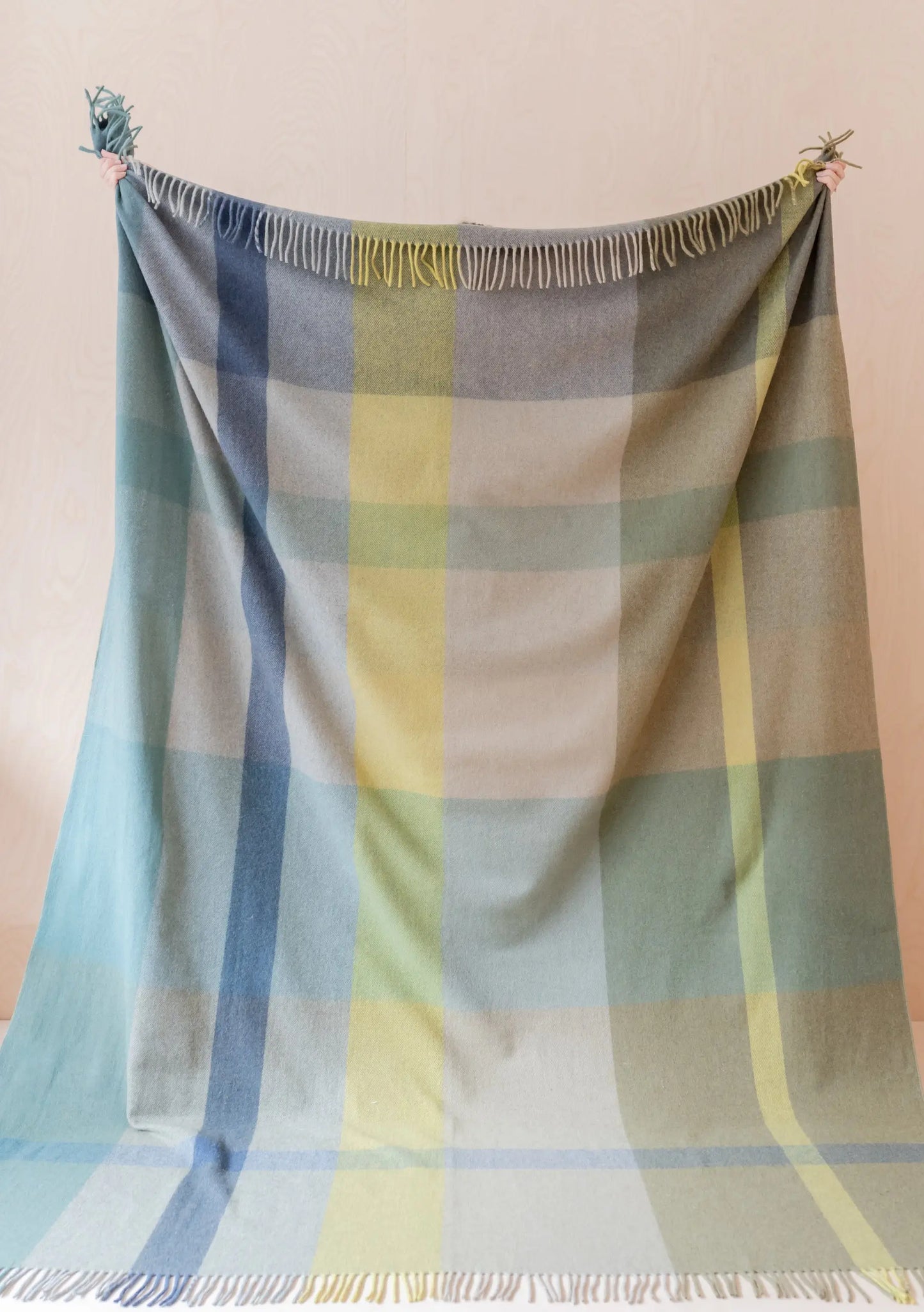 Pair of Cotton Pillowcases in Green Stripe TartanBlanketCo