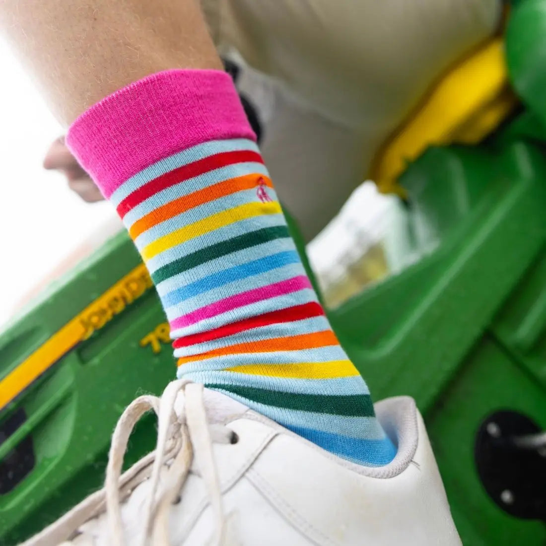 Pastel Striped Bamboo Socks Swole Panda