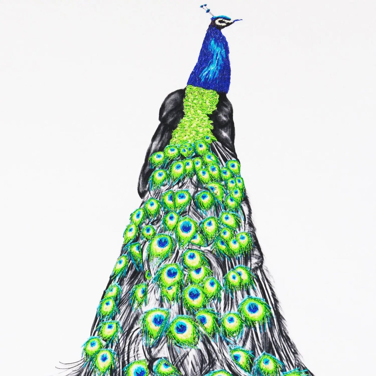 Peacock Hand Embroidered Cushion - Prince Susannah Weiland Collections