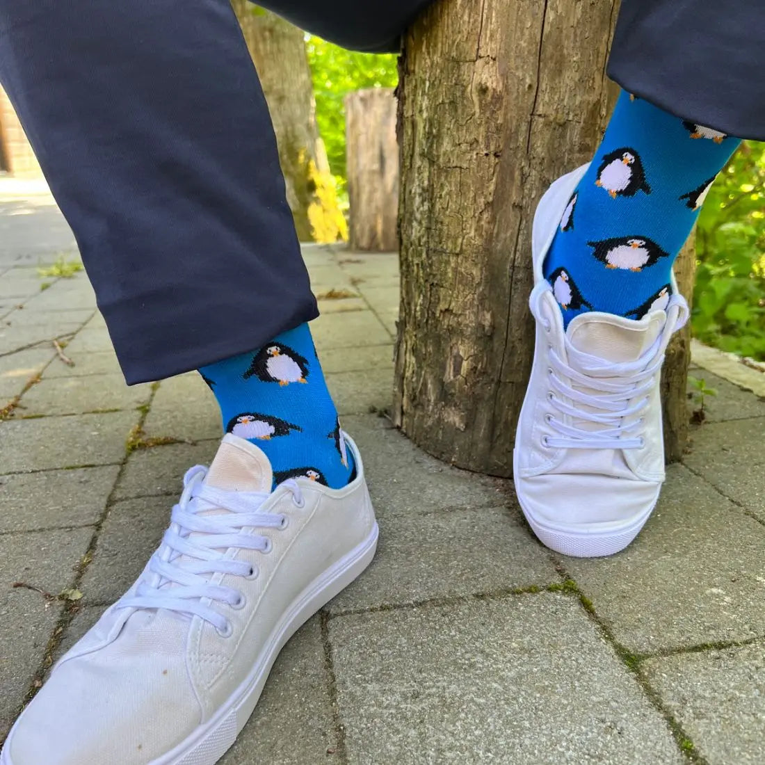 Penguin Bamboo Socks Swole Panda