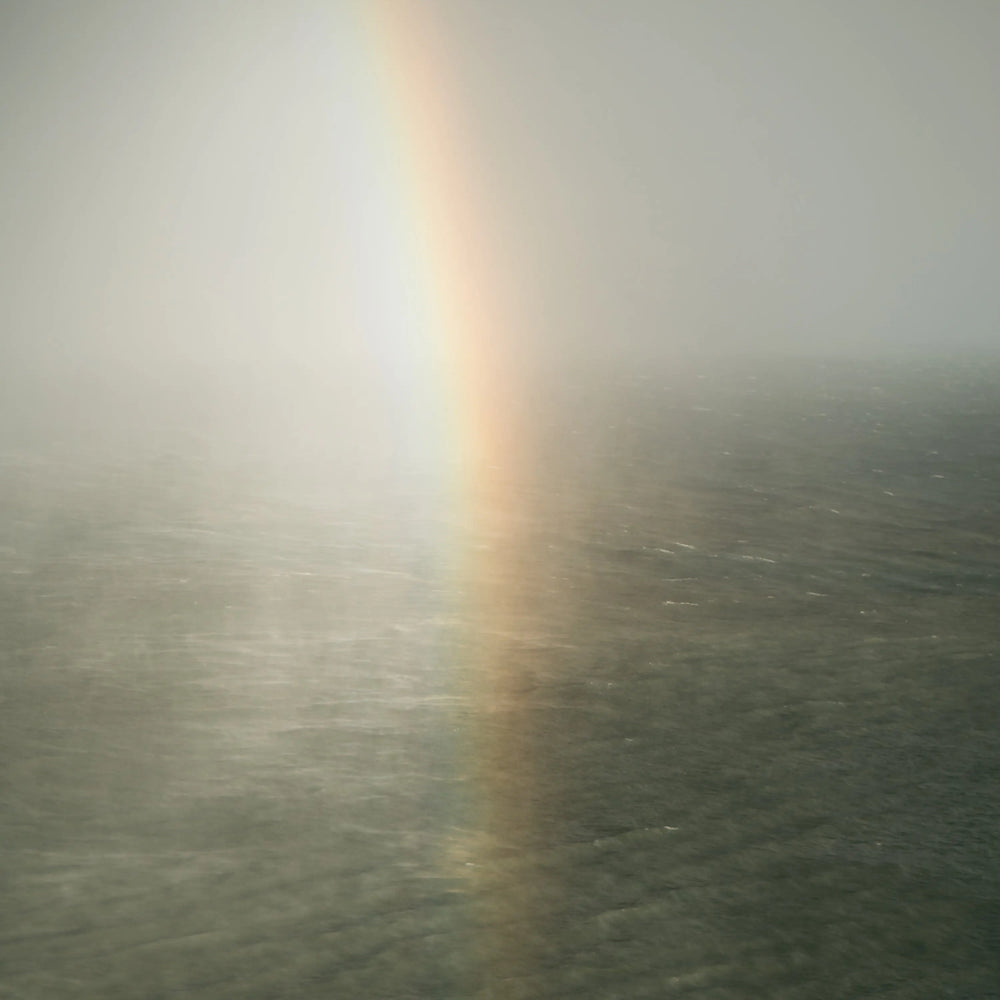 Pluviophile Candle Haeckels