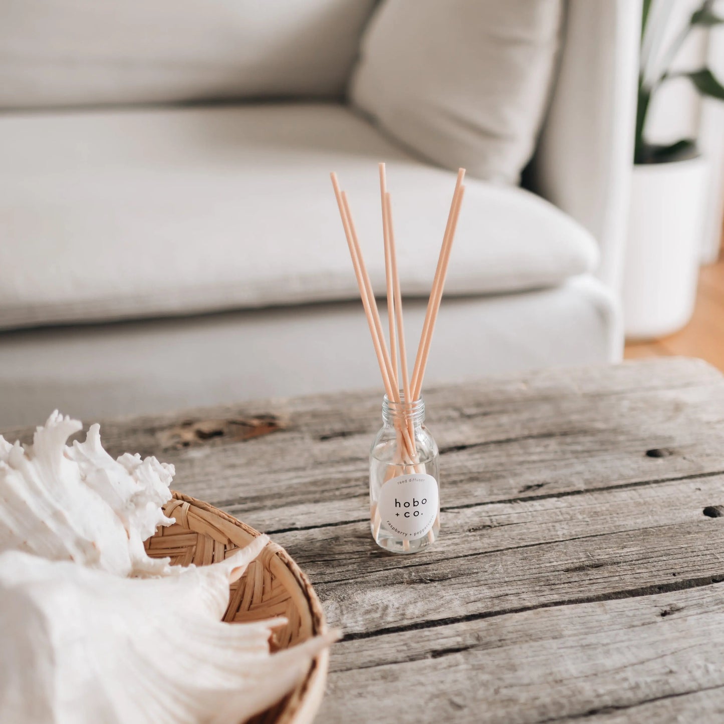 Raspberry and Peppercorn Reed Diffuser hobo + co.