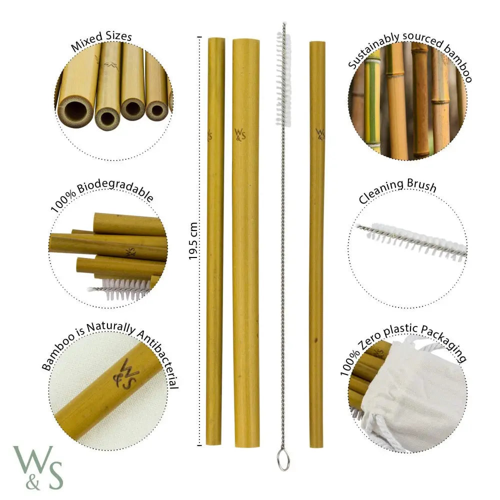 Reusable Bamboo Drinking Straws - 10 Pack Wild And Stone