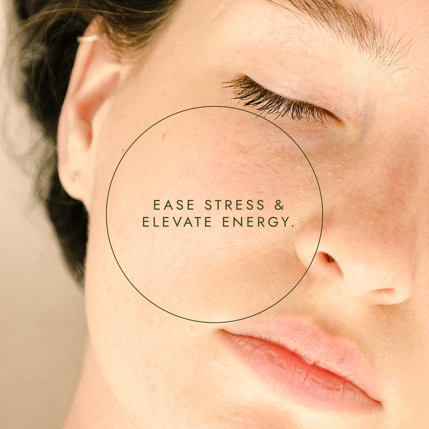 Organic Rhodiola Fushi Wellbeing