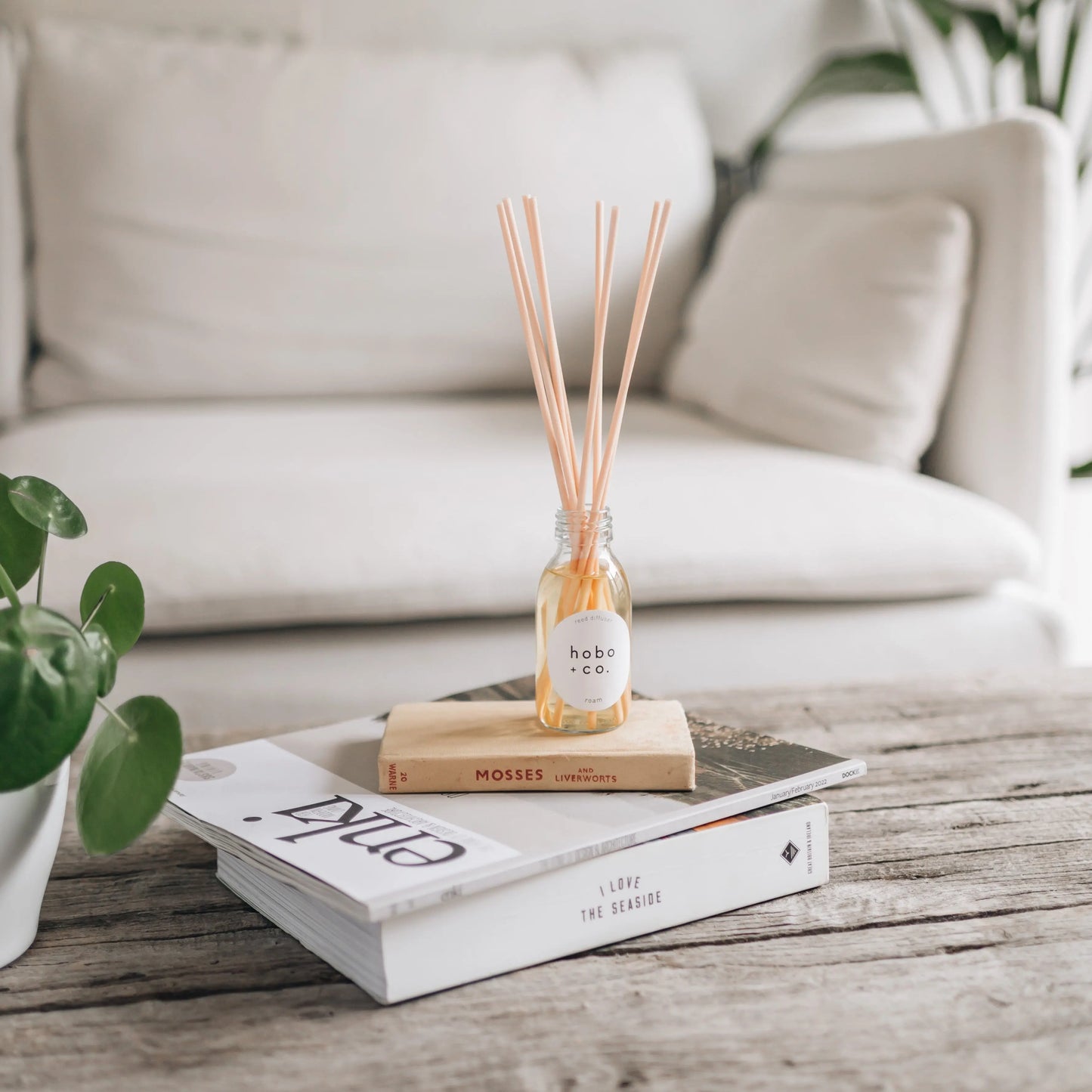 Roam Aromatherapy Reed Diffuser and Candle Bundle hobo + co.