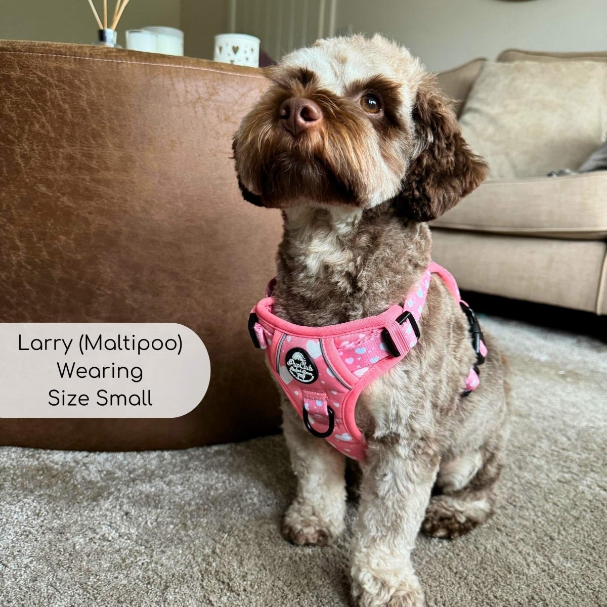 Rugged Rover™ Harness - Peachy Hearts PupClub Couture