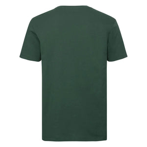 Bottle Green