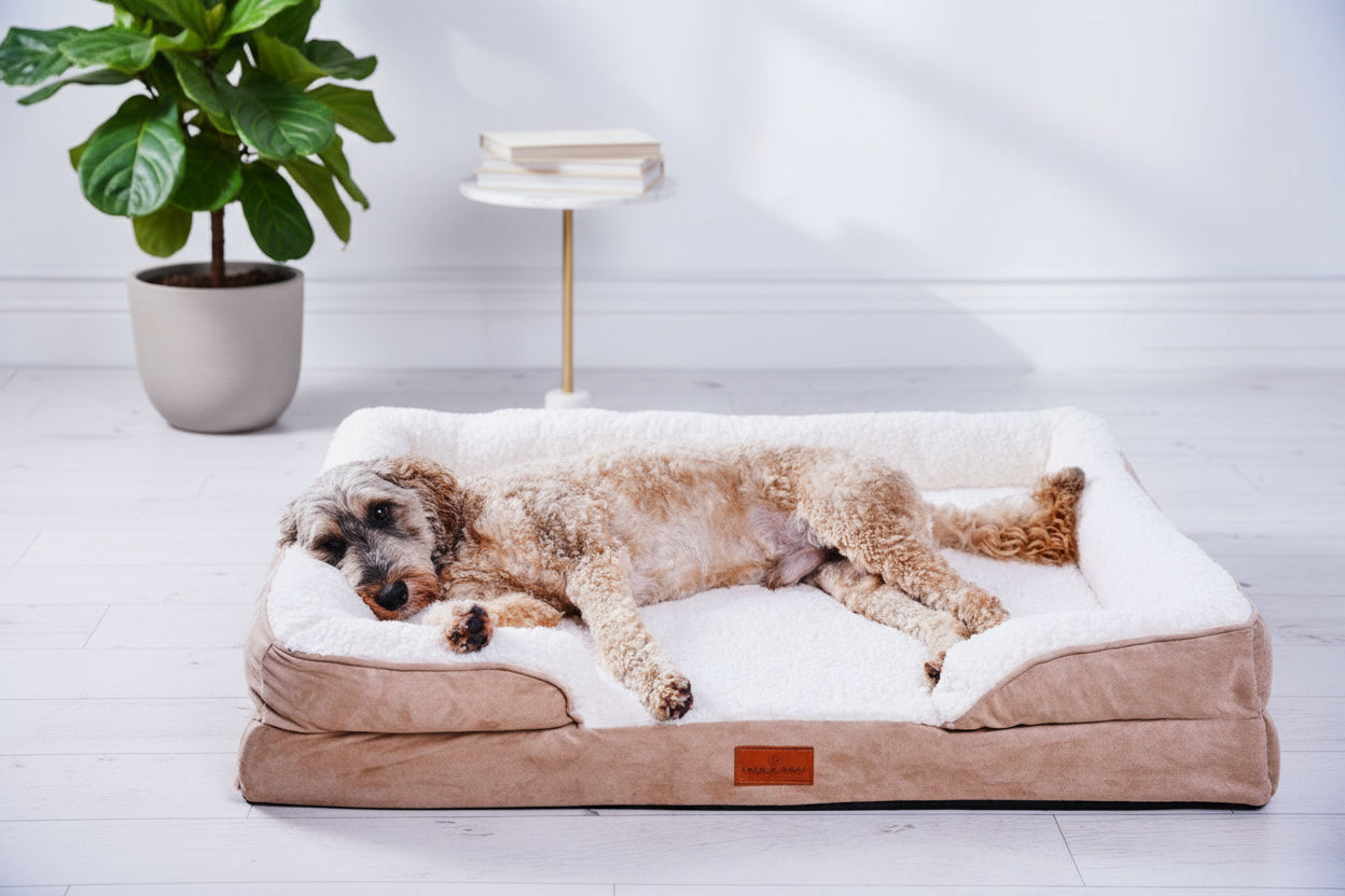 The Belgravia Orthopaedic Dog Sofa™ - Large Snug n Woof