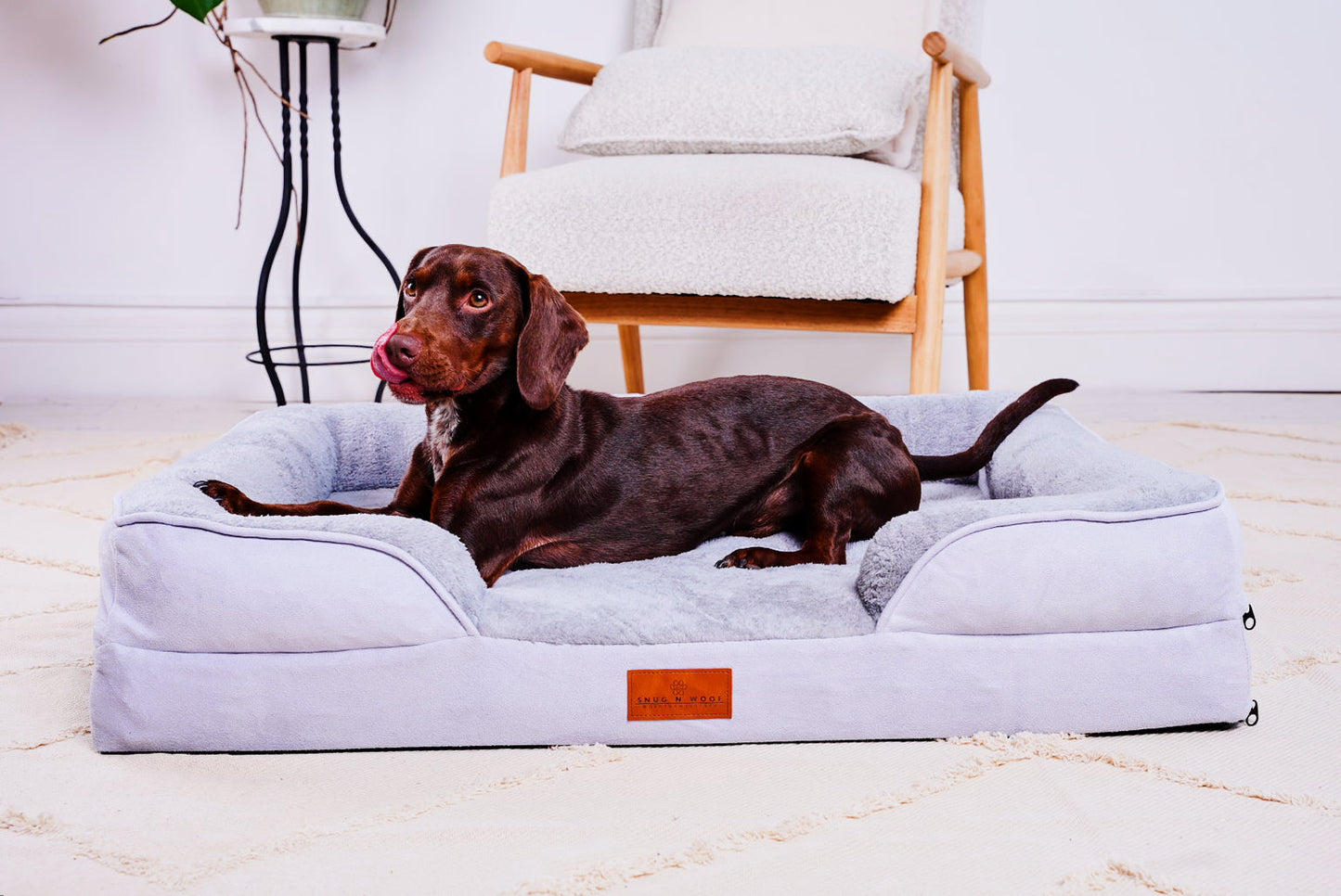 The Belgravia Orthopaedic Dog Sofa™ - Medium Snug n Woof
