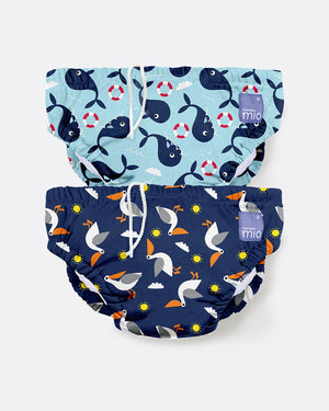 whale and pelican