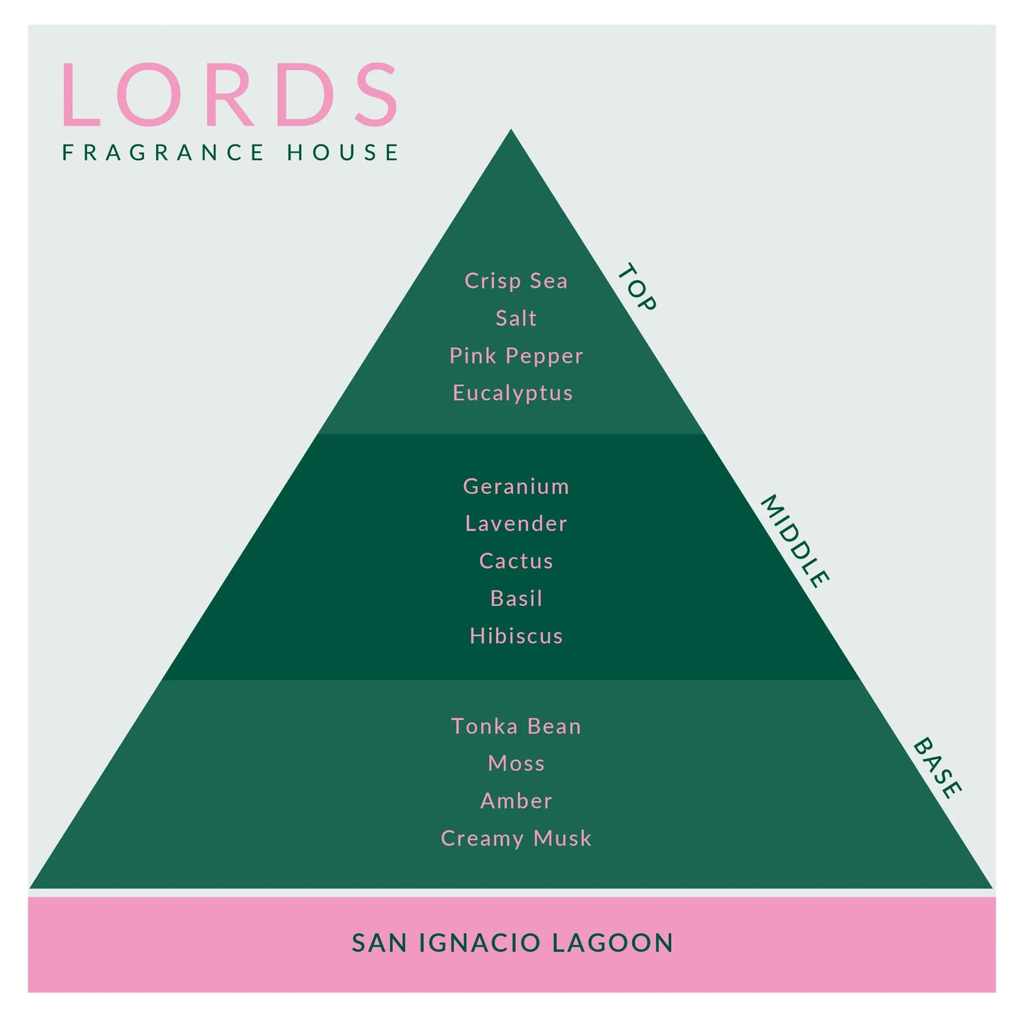 San Ignacio Lagoon Reed Diffuser LORDS Fragrance House