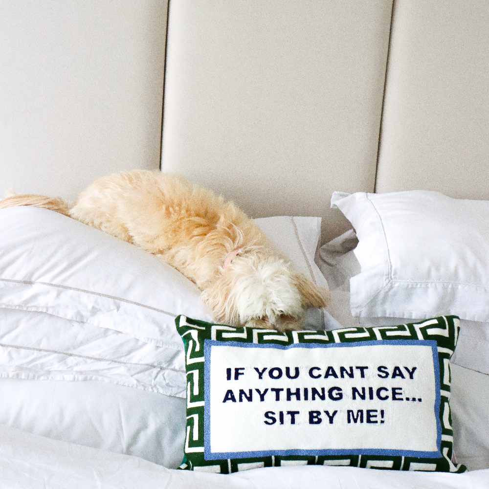 If You Can't Say Anything Nice...Sit By Me Needlepoint Cushion The Pillow Drop