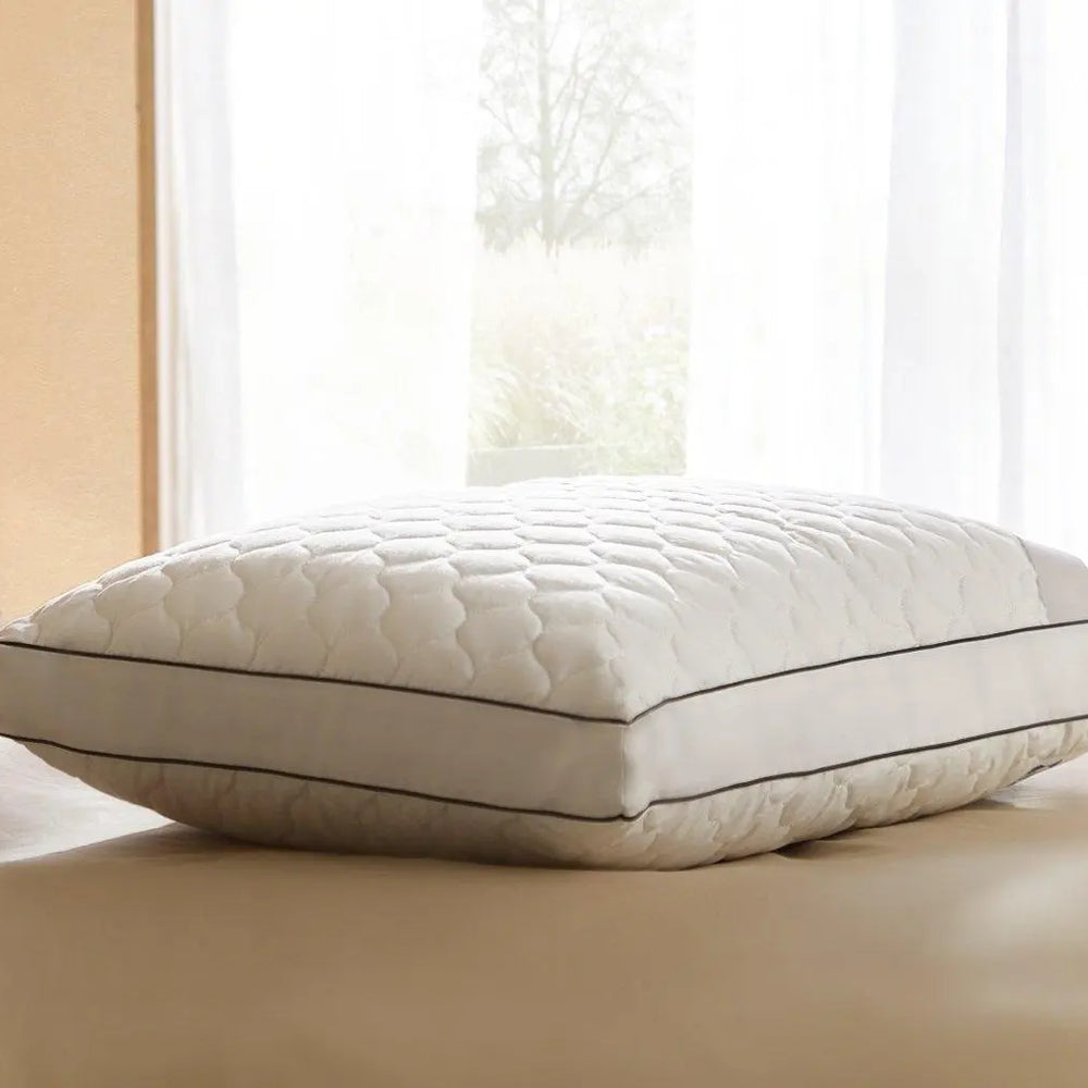 Sealy Side Sleeper Pillow Dreams