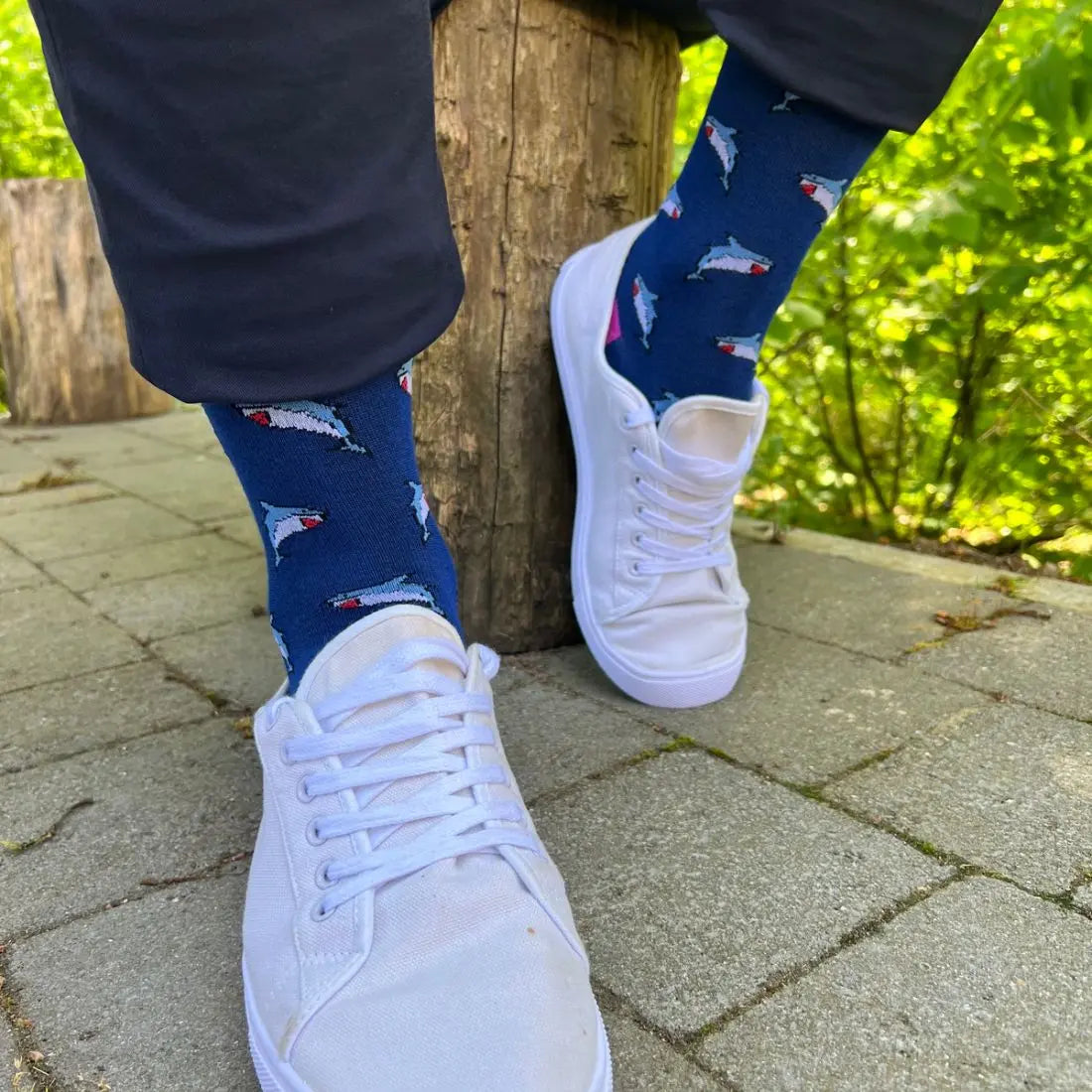 Shark Bamboo Socks Swole Panda