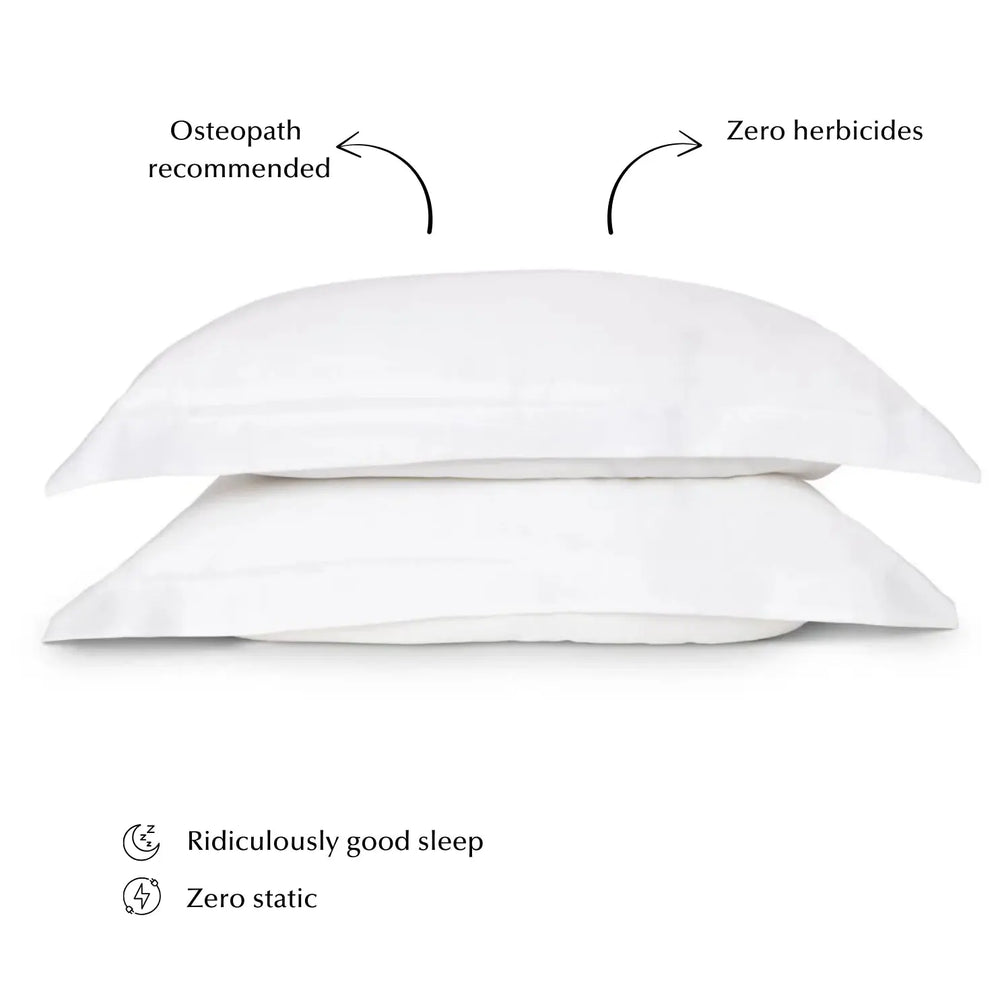 Sleepyhead Silk Pillow Set in White (Top Seller) Ethical Bedding™