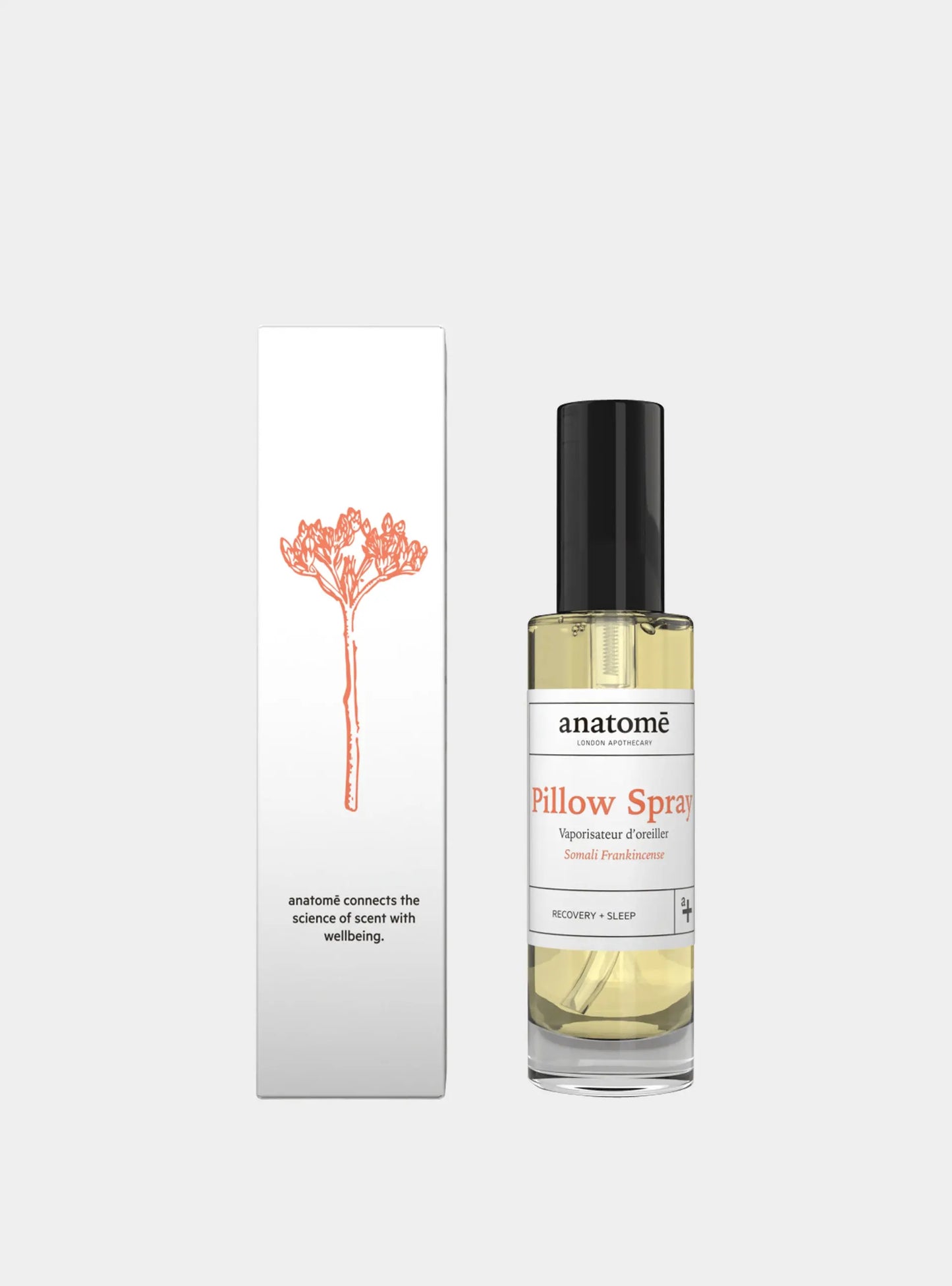 Somali Frankincense Pillow Spray anatomē