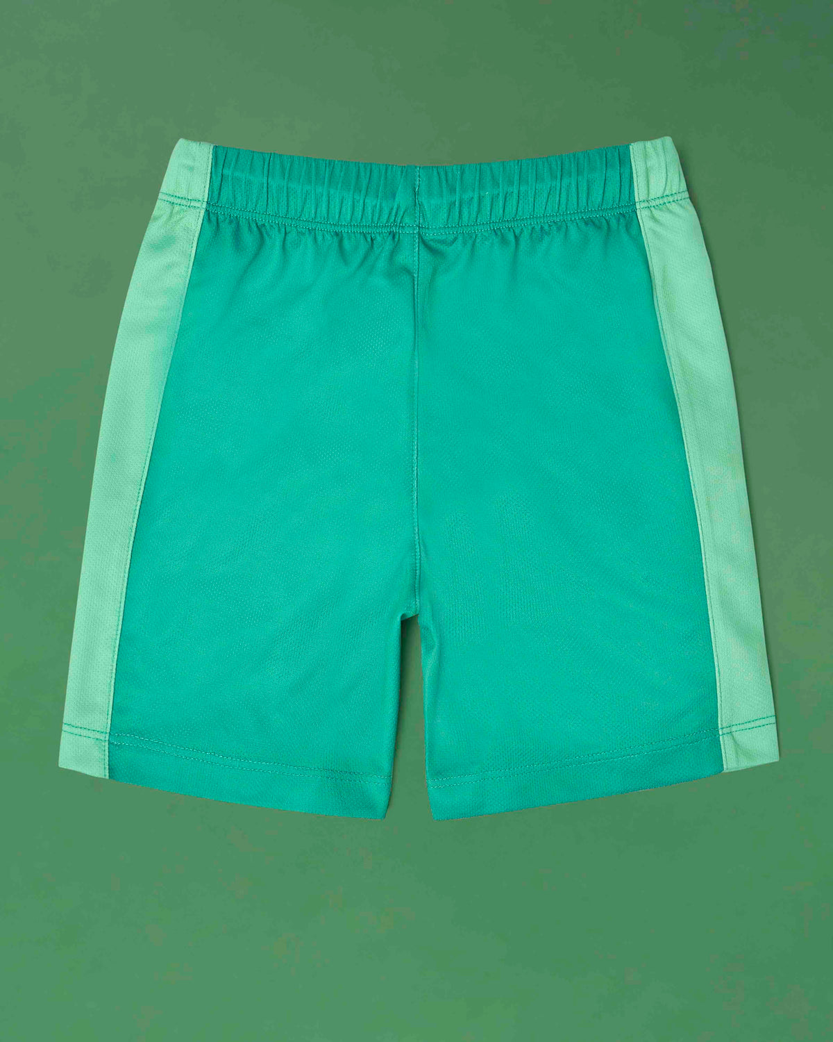 Spike the Dinosaur - Riders Shorts ROARSOME