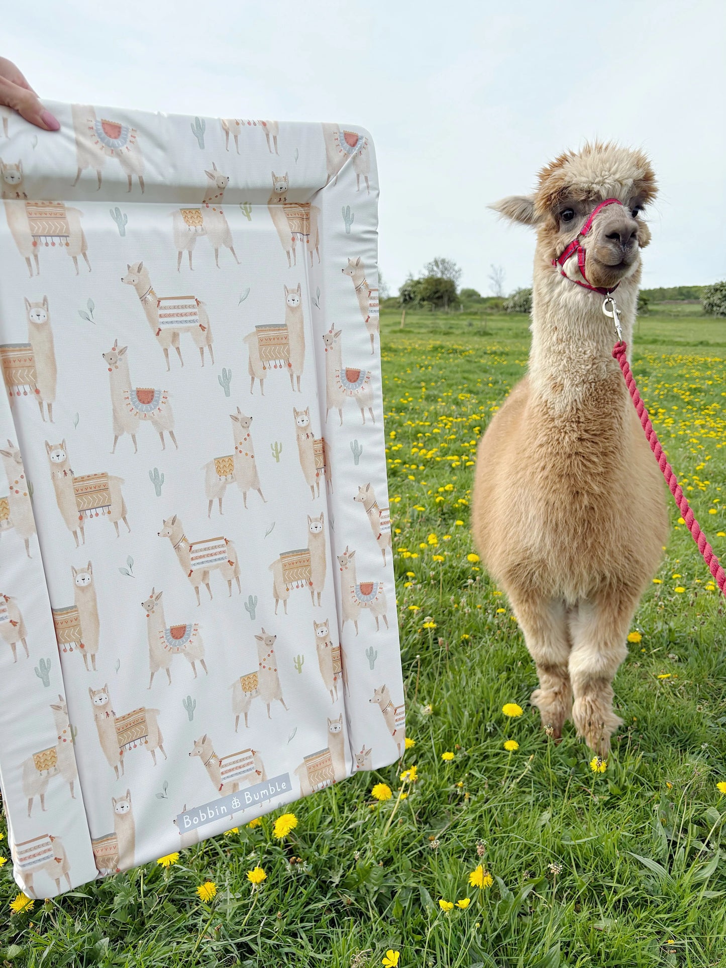 Standard Changing Mat - Alpacas Bobbin and Bumble