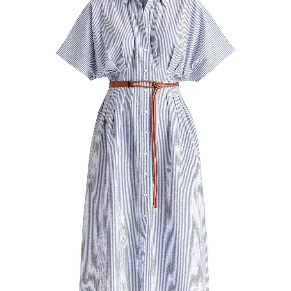 Striped Shirt Dress With Waist Pleats Paisie