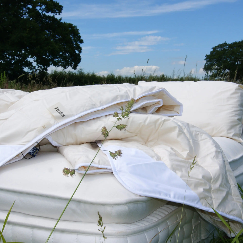 Summer Sleep Bundle Floks Home