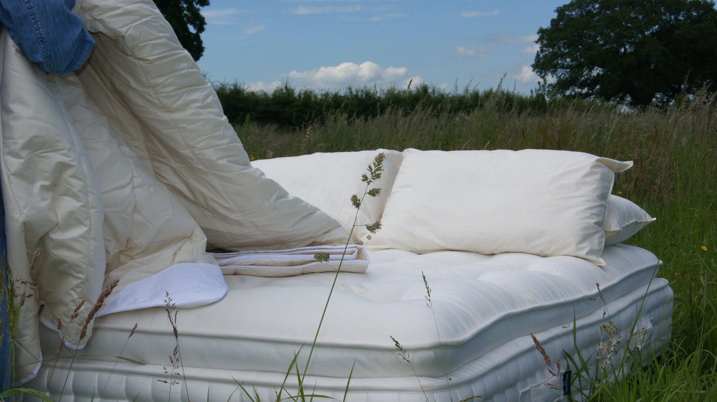 Summer Sleep Bundle Floks Home