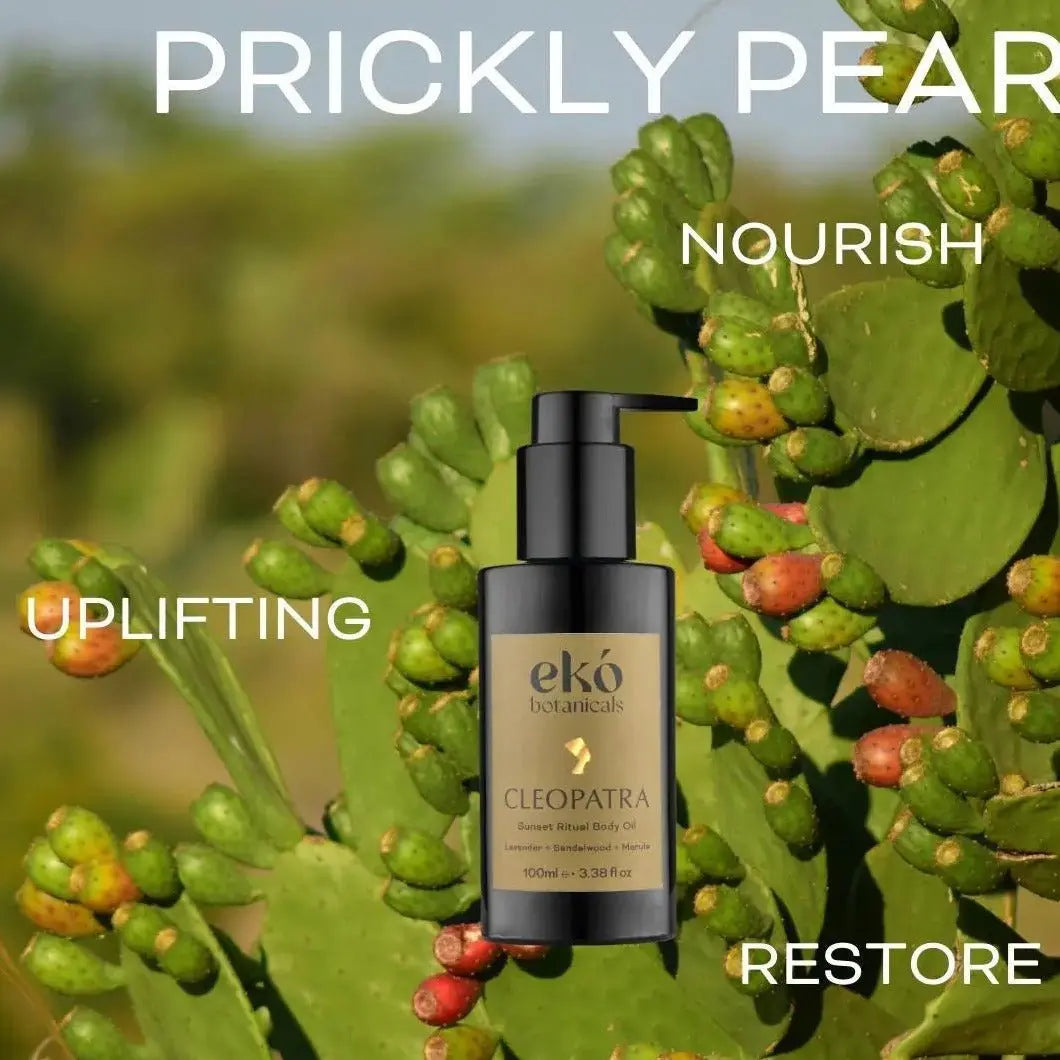 Sunrise Body Oil EKÓ BOTANICALS