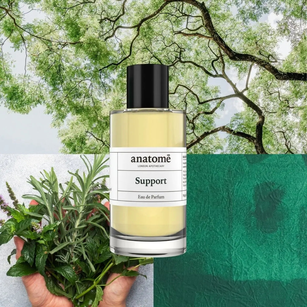 Support Functional Parfum  10ml anatomē