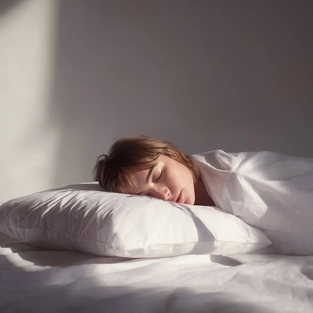 Supreme 3-Chamber Large Travel Pillow Snooozeworld