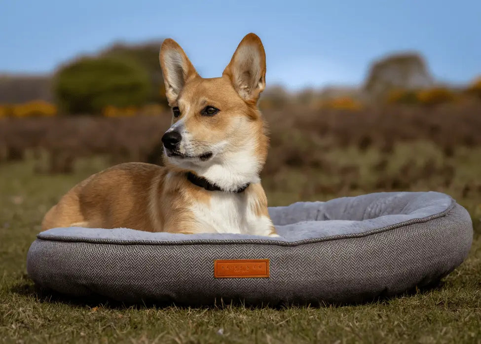 THE BALMORAL  | LUXURY DONUT BED Ralph & Co