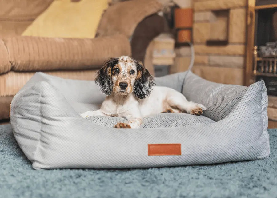THE HIGHCLERE | LUXURY MEMORY FOAM BED Ralph & Co