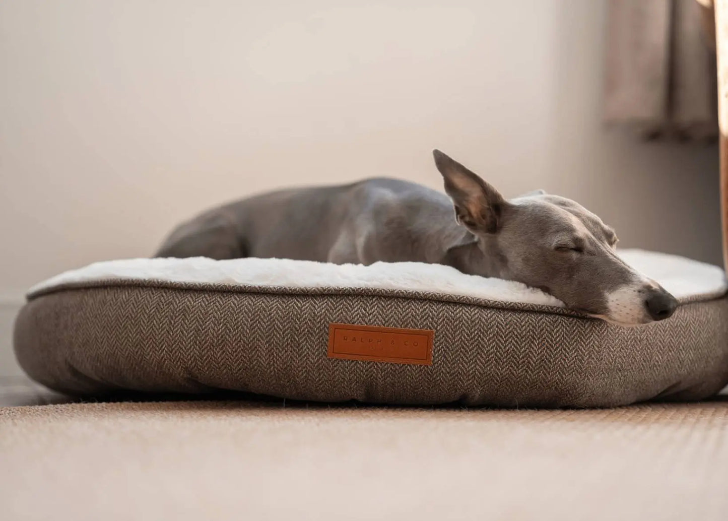 THE LINCOLN  | LUXURY DONUT BED Ralph & Co