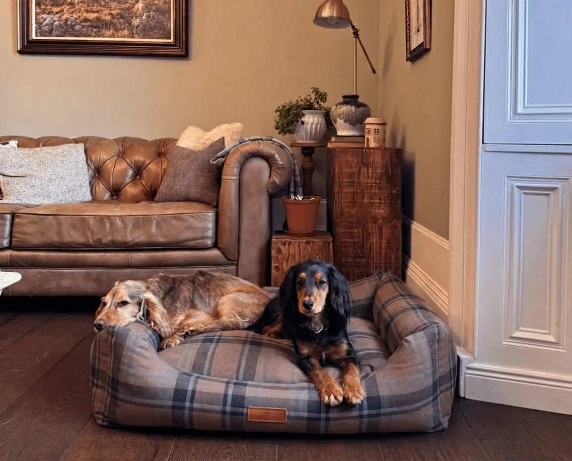 THE MARLOW | LUXURY TARTAN BED Ralph & Co