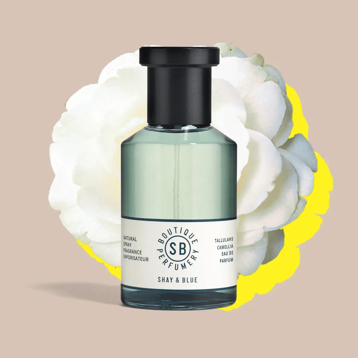 Tallulahs Camellia Fragrance 100ml Shay & Blue UK