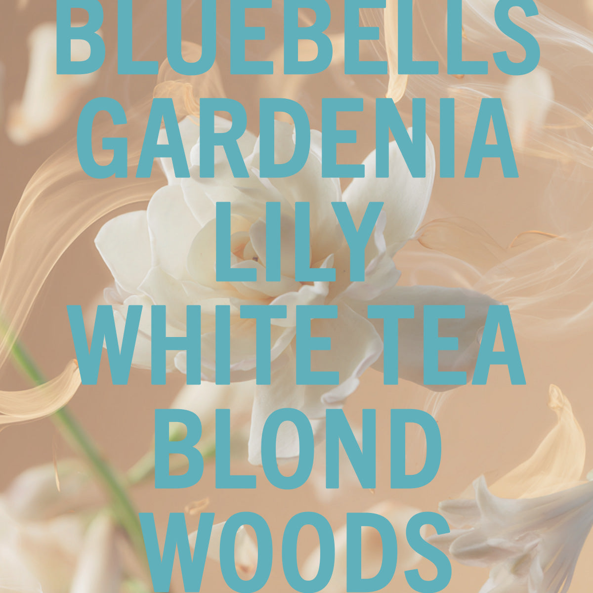 Tallulahs Camellia Fragrance 100ml Shay & Blue UK