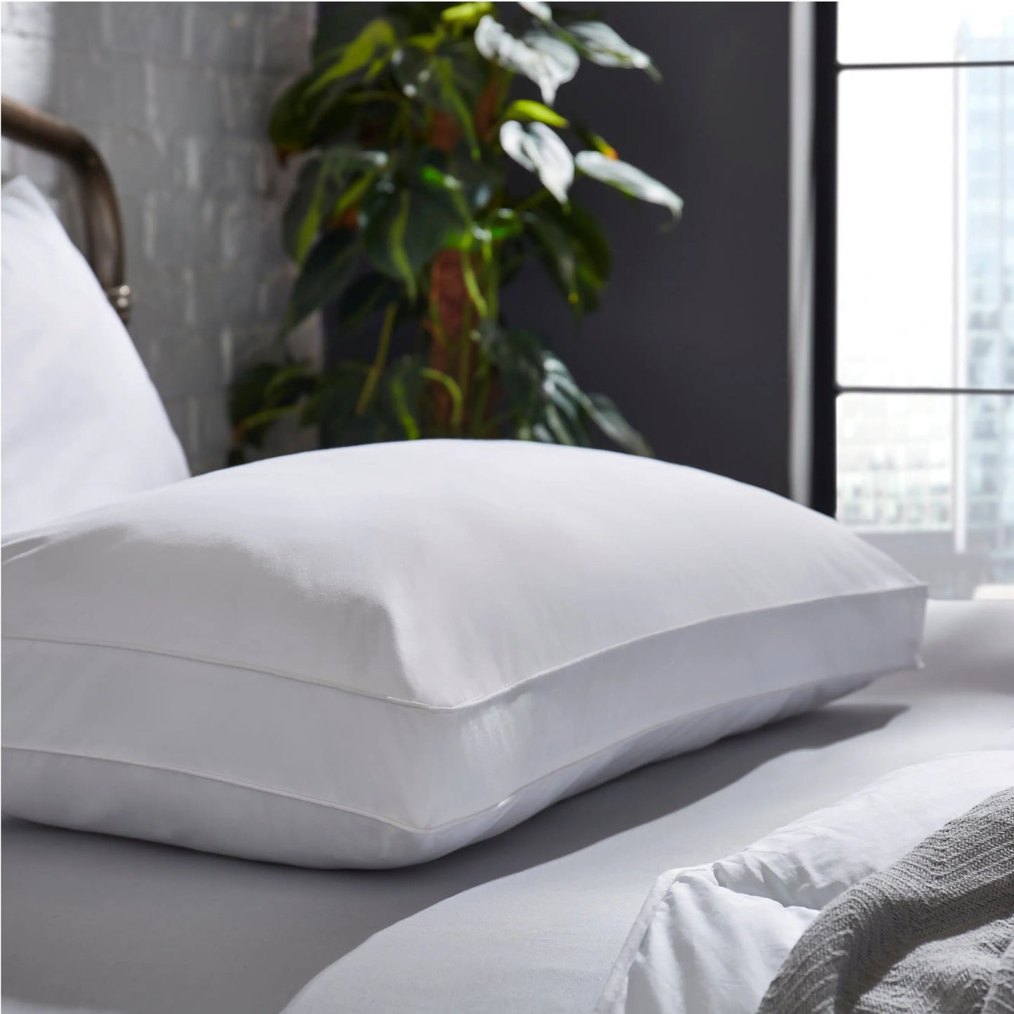 The Back Sleeper Pillow The Fine Bedding Company