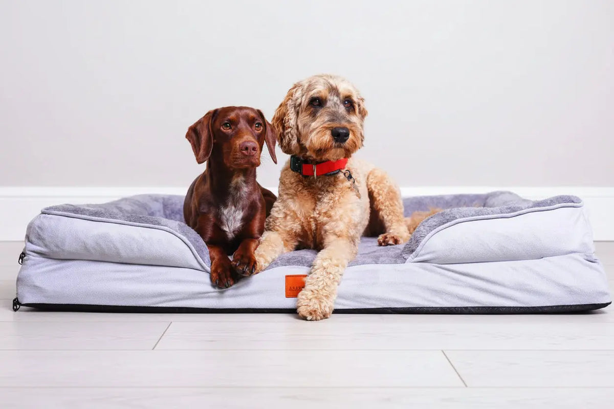 The Belgravia Orthopaedic Dog Sofa™ Snug n Woof