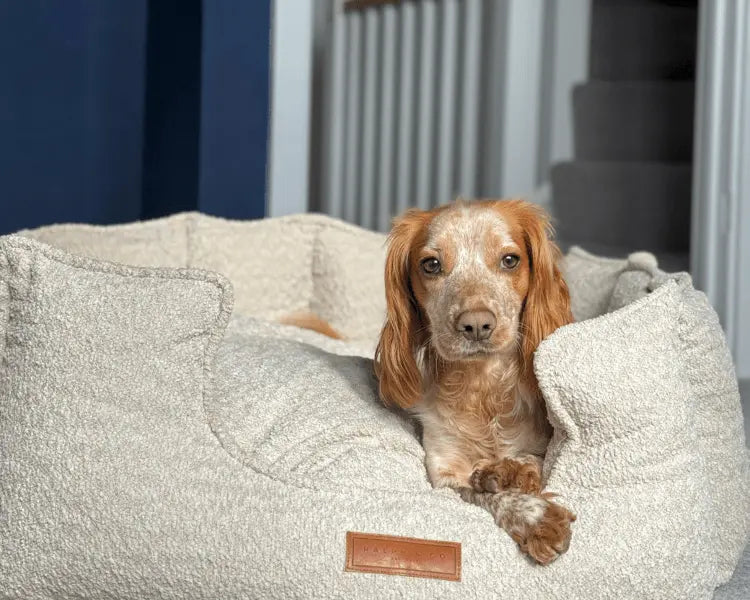 The Cotswold | Luxury Boucle Bed Ralph & Co