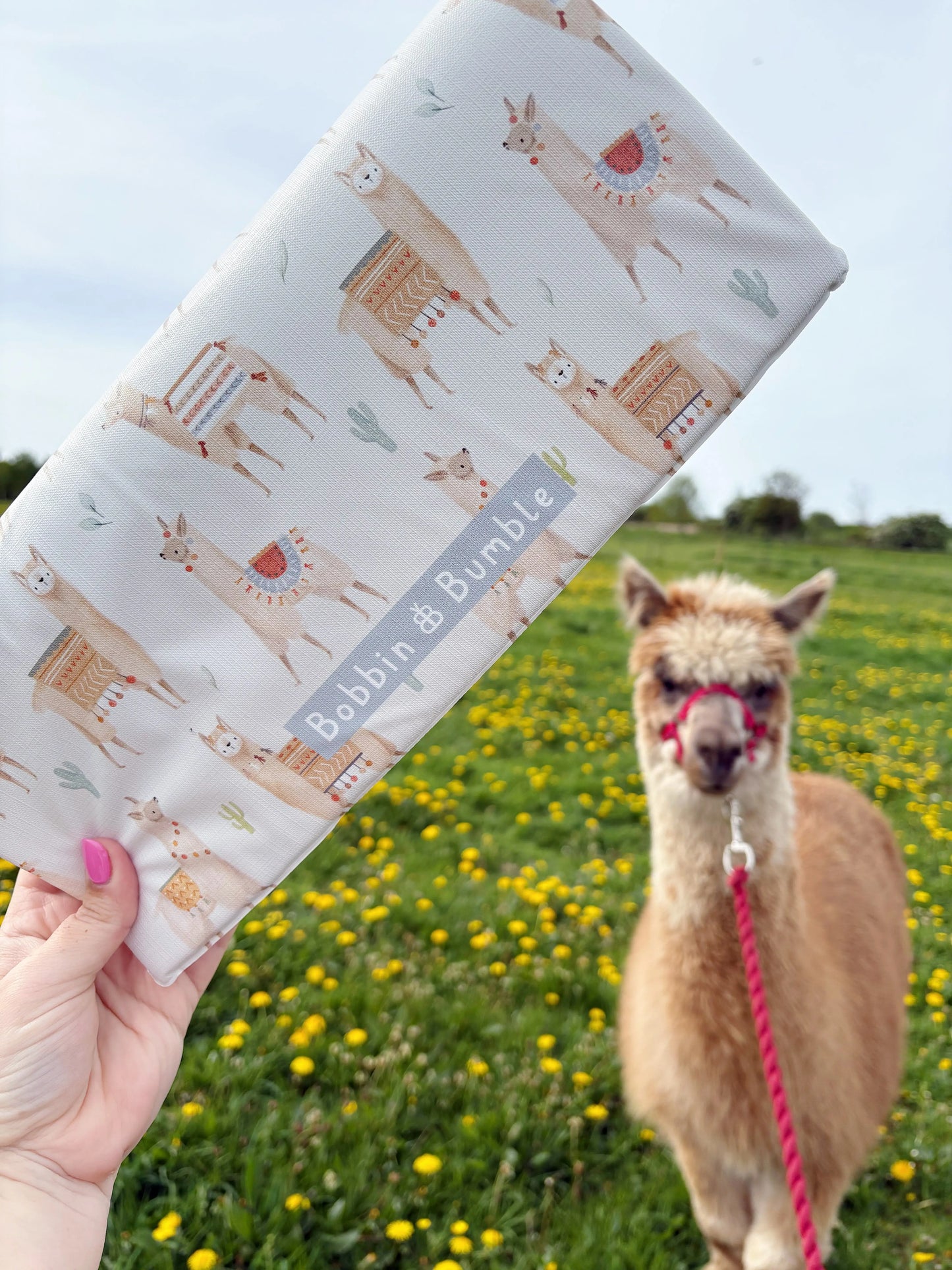 Travel Changing Mat - Alpacas Bobbin and Bumble
