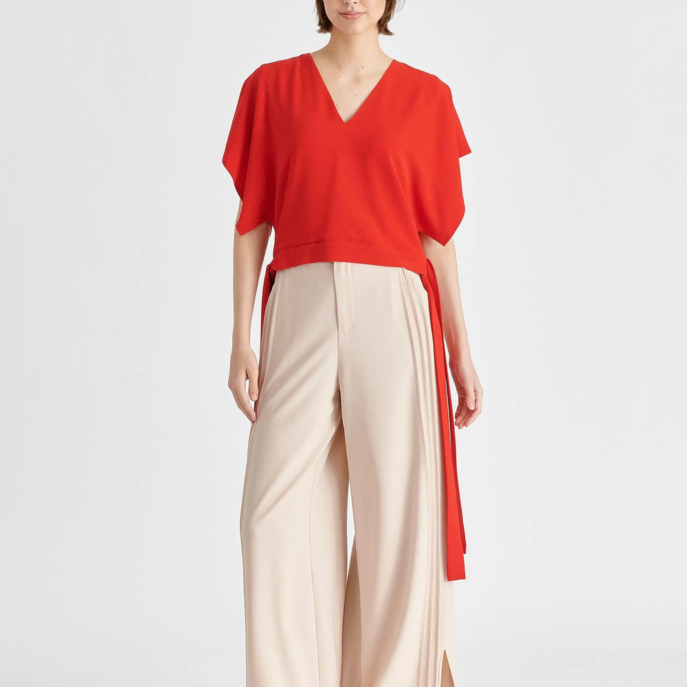 V-Neck Side Tie Top With Batwing Sleeves Paisie